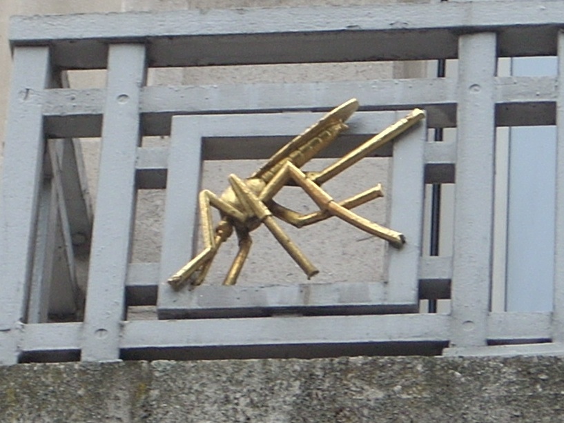 London School of Hygiene and Tropical Medicine  (21).JPG